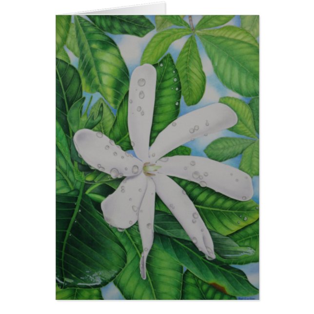 Tiare Tahiti Hälsningskort (Framsidan)