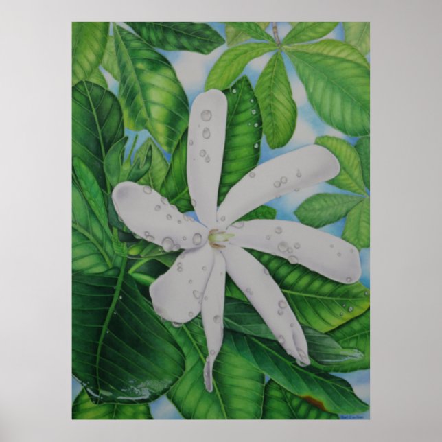 Tiare Tahiti Poster (Framsidan)