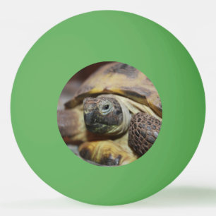 Tibbs Pingisboll