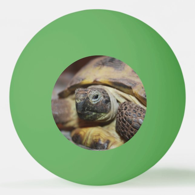 Tibbs Pingisboll (Framsidan)