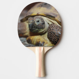 Tibbs Pingisracket