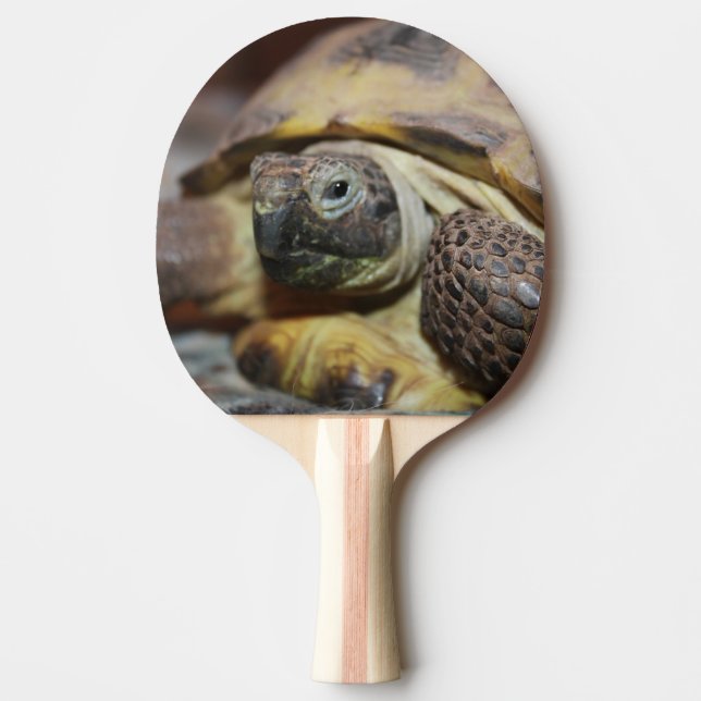 Tibbs Pingisracket (Framsidan)
