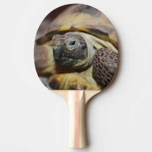 Tibbs Pingisracket