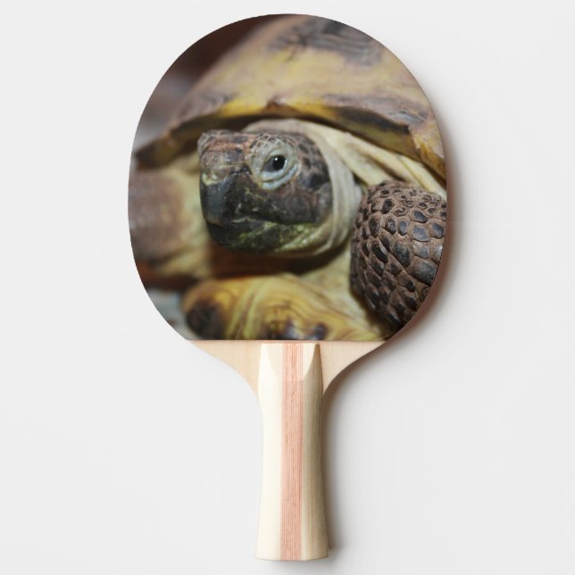 Tibbs Pingisracket (Framsidan)