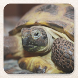 Tibbs Underlägg Papper Kvadrat