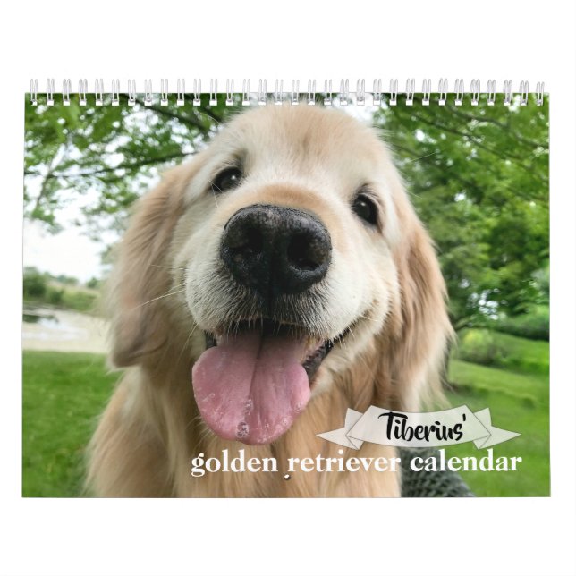 Tiberius' 2020 Golden Retriever Kalender (Omslag)