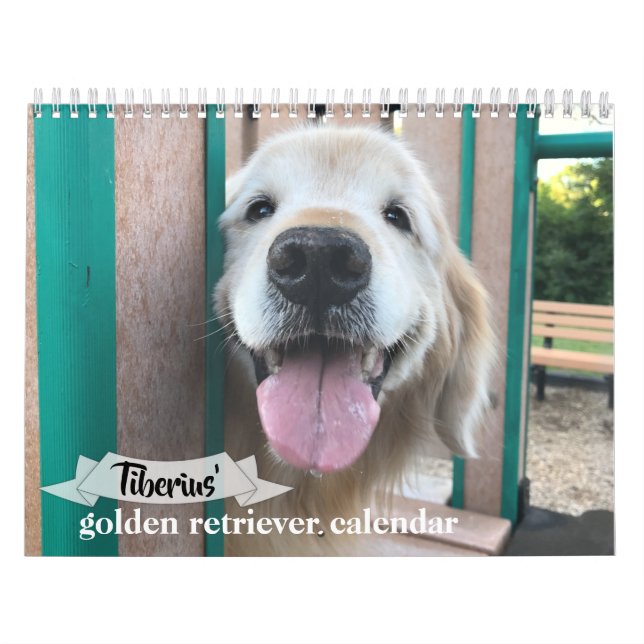 Tiberius' 2021 Golden Retriever-Hund Kalender (Omslag)