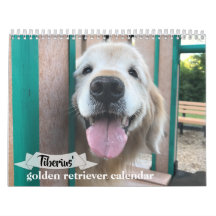 Tiberius' 2021 Golden Retriever-Hund