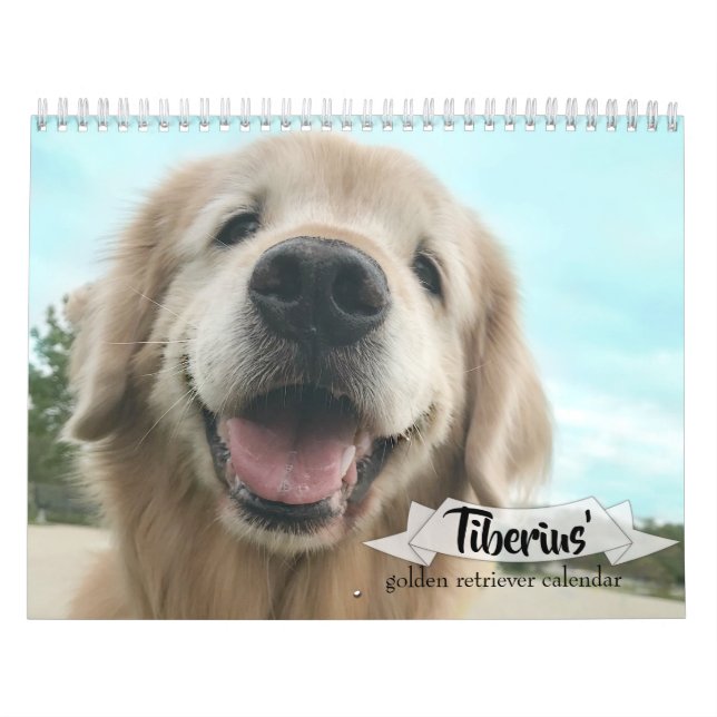 Tiberiuss 2019 guld- Retriever AugieDoggy Kalender (Omslag)