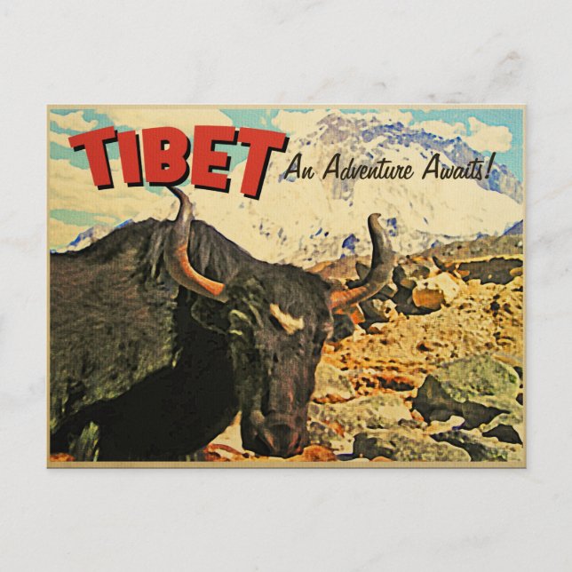 Tibet Äventyr Väntar Oxe Vykort (Framsida)
