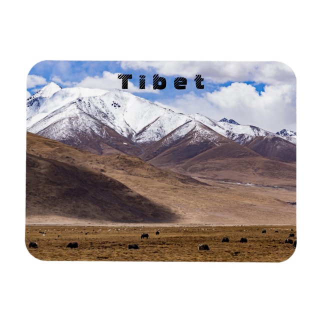Tibet - bergslandskap med yaks magnet (Horisontell)