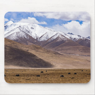 Tibet - bergslandskap med yaks musmatta