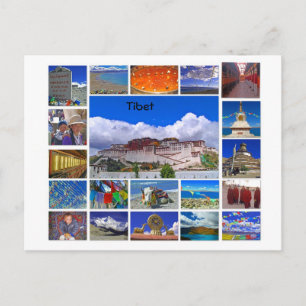 Tibet Multivy Vykort