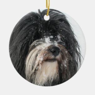 Tibet_Terrier.png Julgransprydnad Keramik