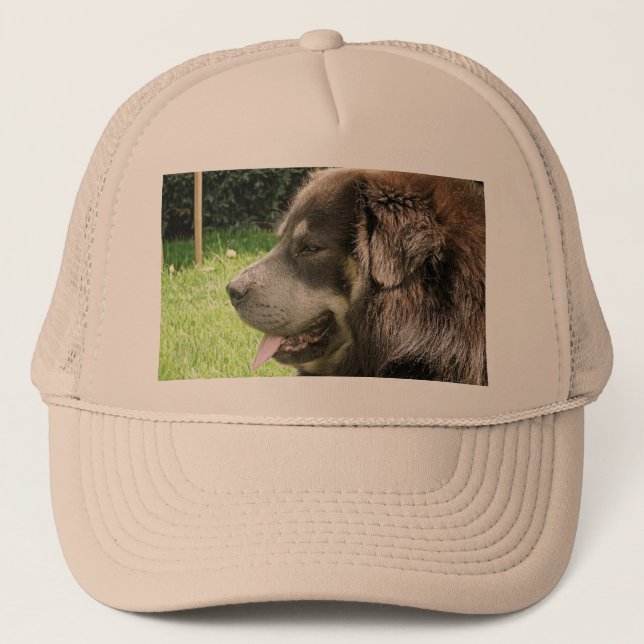 tibetan mastiff.png truckerkeps (Framsida)
