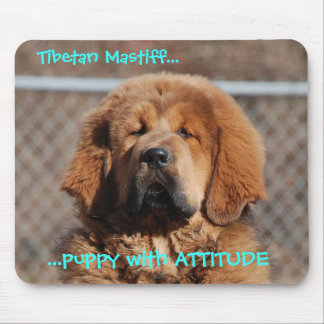 Tibetan Mastiffinställning Musmatta