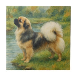 Tibetan Spaniel Kakelplatta