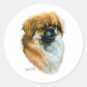 Tibetan Spaniel Runt Klistermärke