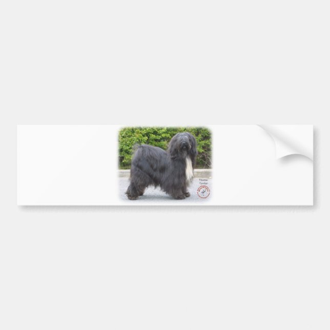 Tibetan Terrier Bildekal (Framsidan)