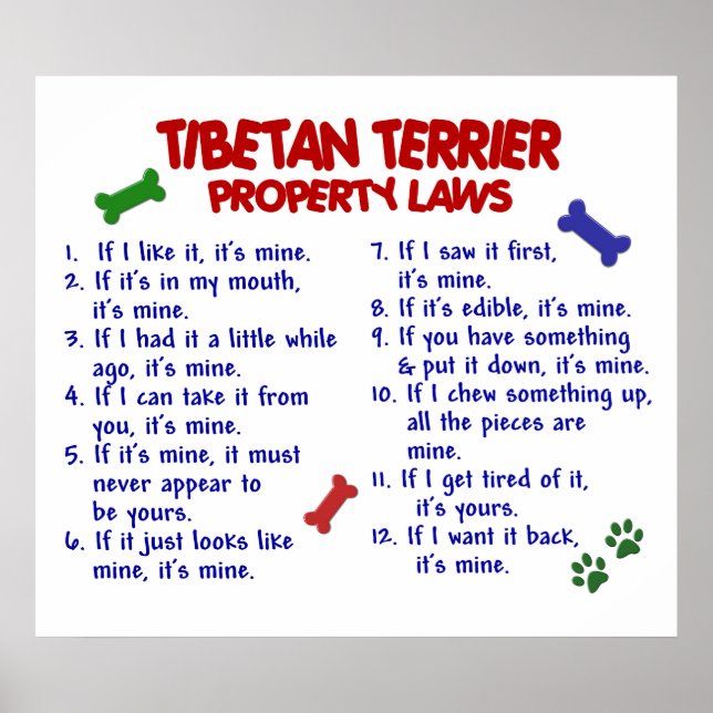 TIBETAN TERRIER PL2 POSTER (Framsidan)