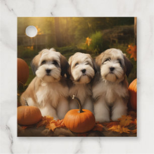 Tibetan Terrier Valp Höstglädje Pumpa Gåvor Etiketter
