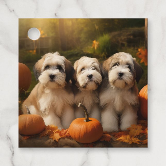 Tibetan Terrier Valp Höstglädje Pumpa Gåvor Etiketter (Framsida)