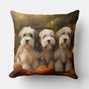 Tibetan Terrier Valp Höstglädje Pumpa Kudde