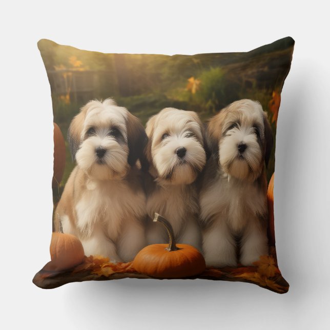 Tibetan Terrier Valp Höstglädje Pumpa Kudde (Framsida)