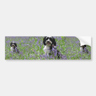Tibetan Terrierbildekal Bildekal