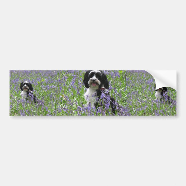 Tibetan Terrierbildekal Bildekal (Framsidan)