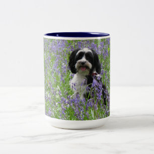 Tibetan Terriermugg Två-Tonad Mugg