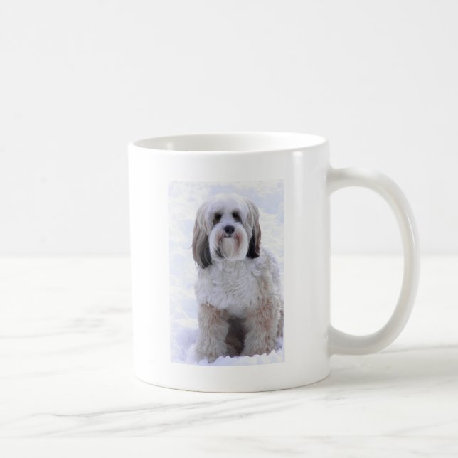 Tibetan Terriersobel och vit Kaffemugg (Höger)