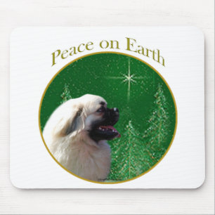 Tibetansk fred i Spanien Musmatta