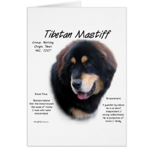 Tibetansk historikdesign för Mastiff Hälsningskort