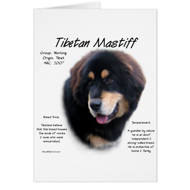 Tibetansk historikdesign för Mastiff Hälsningskort (Framsidan)