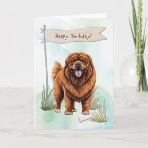 Tibetansk Mastiff Hund aveln under födelsedagsskyl Kort
