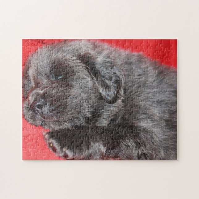 Tibetansk Mastiff Hund Jigsaws. Pussel (Horisontell)