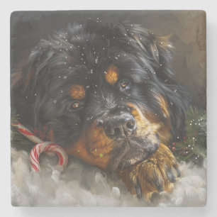 Tibetansk Mastiff Hund Jul Firande Stenunderlägg