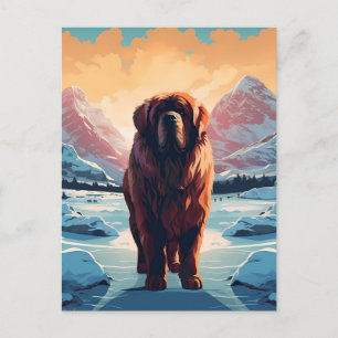 Tibetansk Mastiff i snöbergen Vykort