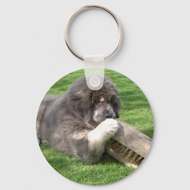 Tibetansk Mastiff Jampo med nyckelkedja broom Nyckelring (Framsida)