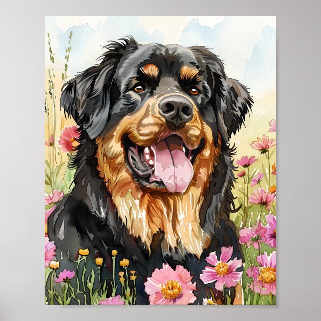 Tibetansk Mastiff Poster - Majestic Hund Wall Art (Framsidan)