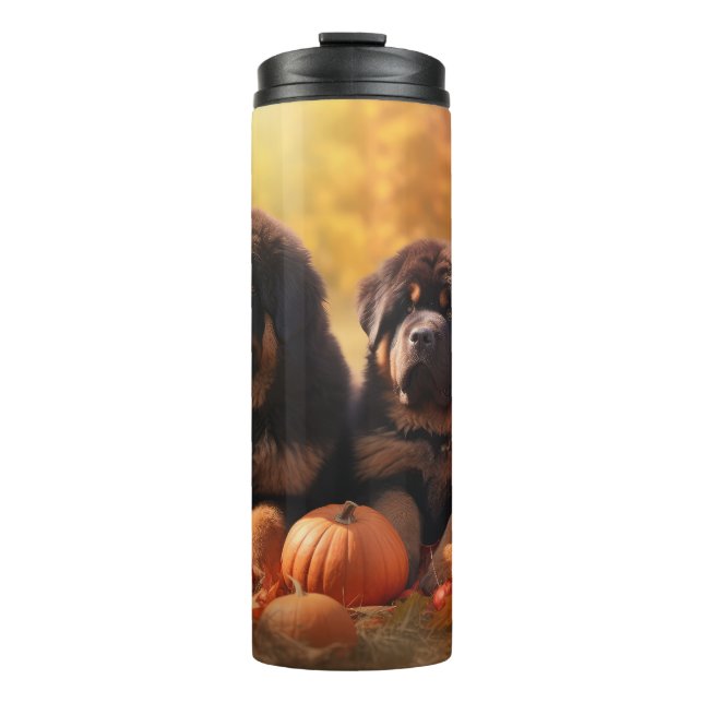 Tibetansk mastiff Puppy Autumn Delight Pumpkin (Framsida)