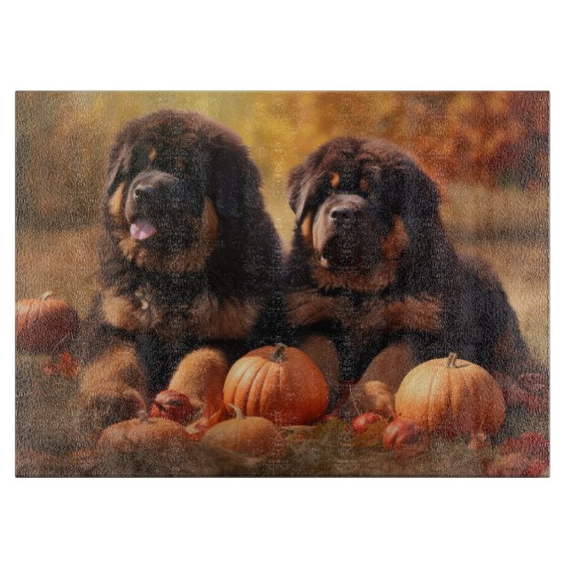 Tibetansk mastiff Puppy Autumn Delight Pumpkin (Framsidan)