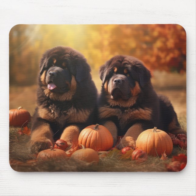 Tibetansk Mastiff Valp Höst Njutning Pumpa  Musmatta (Framsidan)