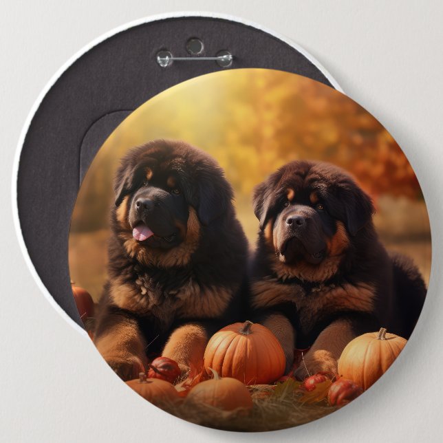 Tibetansk Mastiff-valp Höstglädje Pumpa  Knapp (Framsida & baksida)