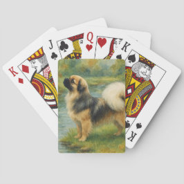 Tibetansk Spaniel Casinokort