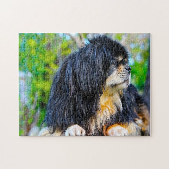 Tibetansk Spaniel Hund Pussel. Pussel (Horisontell)
