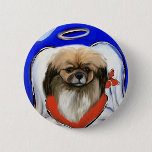 Tibetansk Spaniel Knapp