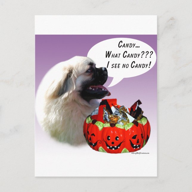 Tibetansk spanjor Halloween Candy Vykort (Framsida)