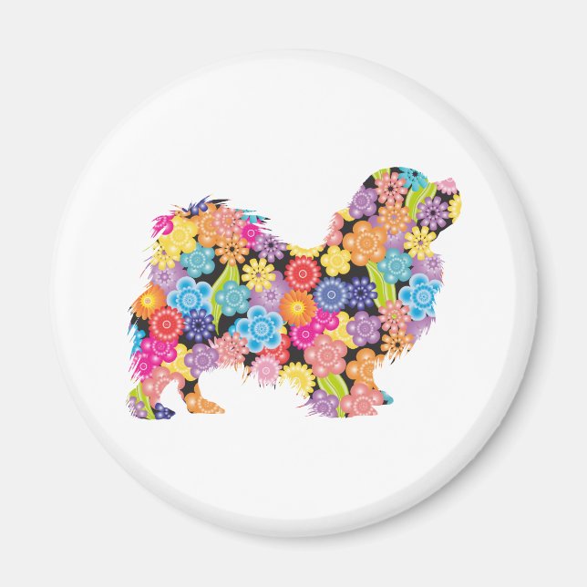 Tibetansk spanjor magnet (Framsidan)